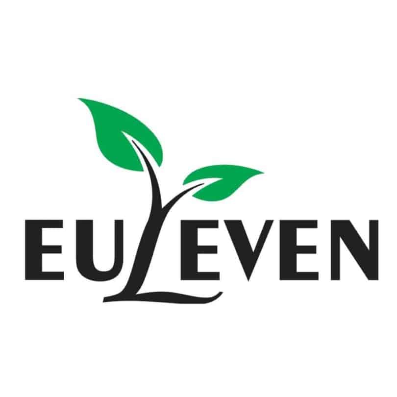EULEVEN_LOGO