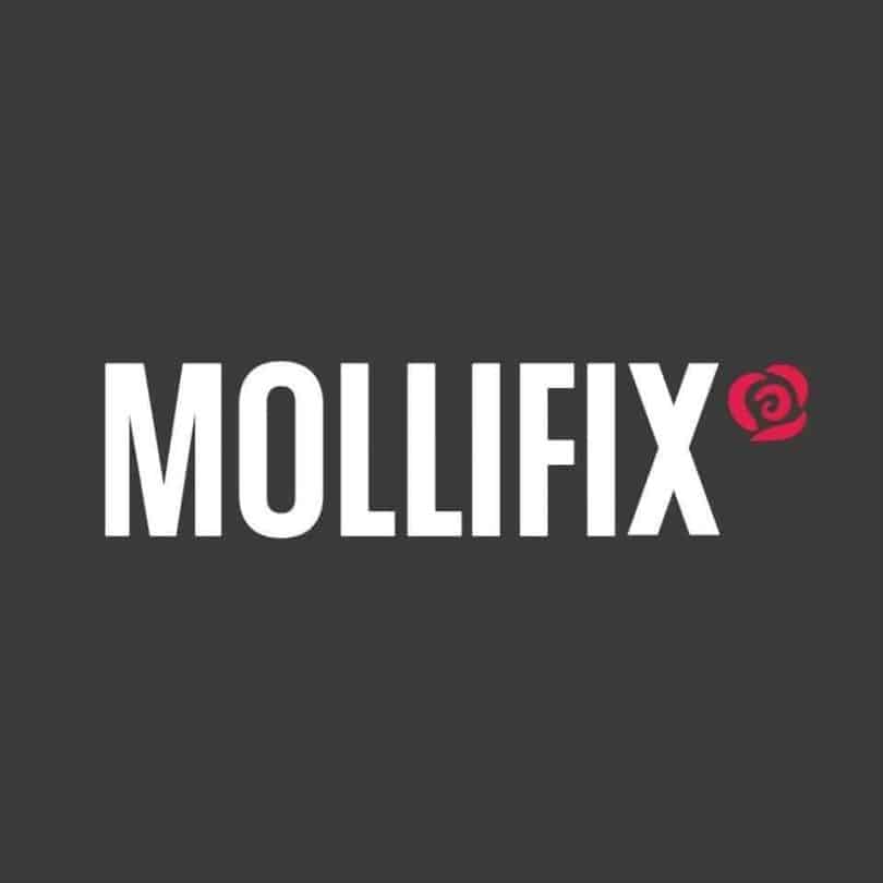 mollifix_logo